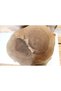 Walnut Coffee Table Tops - 5