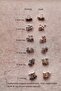 Steel Solitaire Earrings Lob Cartilage Conch - 2