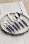 Alina 36 Piece Cutlery Set for 6 Persons Blue