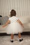 Baby girl-children's short sleeve heart tulle lined dress for birthday and special occasions - 7