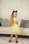 Baby girl-children's short sleeve heart tulle lined dress for birthday and special occasions - 3