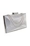 Silver Evening Dress Bag. Snake Patterned. Silver Evening Dress Bag. Silver Evening Dress Evening Bag. Portfolio Cultc Bag. - 3