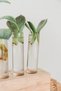 3-Piece Glass Flower Pot Mini Vase Wooden Vase Stand Tube Vase - 2