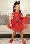 Baby girl-children's short sleeve heart tulle lined dress for birthday and special occasions - 4