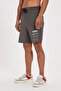 Diego Asfalt Men's Shorts - 2