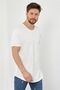 White-Black-Off-White-Anthracite-Grey Men's Regular/Normal Cut Dirty Collar Short Sleeve T-Shirt - 4