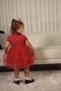 Baby girl-children's short sleeve heart tulle lined dress for birthday and special occasions - 8