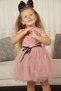 Baby girl-children's short sleeve heart tulle lined dress for birthday and special occasions - 4
