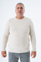 Large Size Men's Beige Thessaloniki Knitted Crew Neck Knitwear Wool Sweater Trist-2116