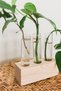 3-Piece Glass Flower Pot Mini Vase Wooden Vase Stand Tube Vase