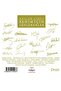 Mazlum Çimen – Things Said for Me Cd (Yıldız Tilbe – Zuhal Olcay – Jehan Barbur – Teoman Etc.) - 2
