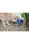 Petsafe Aqua Stream Su Pınarı - 5