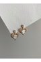 Steel Rose Gold Crystal Hexagonal Stone Heart Toise Earrings - Does Not Tarnish -