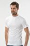 Men's Large Size Cotton Undershirt - 6 Pieces, Crew Neck, Short Sleeve (Fanilla) - 2