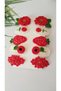 Kırmızılım Knitted Handmade Hair Accessory Set of 10 Snap Buckles (Suitable for All Age Groups) - 4