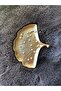 Oyster Presentation Tray Jewelry / Gift Decorative Modern Tray