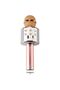 Polygold Ws 858 Blutooth Karaoke - 4