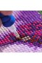 5D Diamond Bead Stone Embroidery Mosaic Tapestry Kit 50X40Cm Gc70812 Diamond Painting - 2