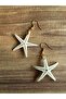 Real Starfish Earrings - Classic (Gold Color Metal) - 3
