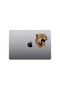Aggressive Leopard Sticker Car, Motorcycle, Helmet, Laptop, Glass Sticker 13X10 cm - 4