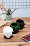 Cactus Pen Holder And Flower Pot - 5