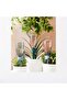 3 Pieces Automatic Adjustment Flower Pattern Water Dripper Timing Container