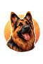 German Shepherd K9 Sticker Car, Motorcycle, Helmet, Laptop, Glass Sticker 13X8 cm