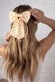 Automatic Hair Clip - Double Stripes - 3