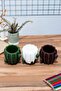 Cactus Pen Holder And Flower Pot - 6