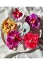 Aloha Orchid Flower Patterned - Elegant Summer Peg Buckle - 4