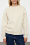Taş Kalın İçi Polarlı Regular/Normal Kalıp Bisiklet Yaka Basic Örme Sweatshirt TWOAW24SW00101 - 3