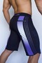 Purple Vision Boardshorts Men's Physics and Sea Shorts - 8