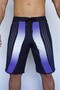 Purple Vision Boardshorts Men's Physics and Sea Shorts