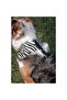 Shadow Soft - Dog Collar - 2
