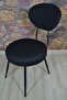 Chair Covers - 2
