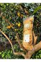 Dried Lemon 1 Kilo Is 100% Natural. Does Not Contain Any Additives. - 7