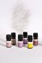 5ml Immortal Flower Essential Oil - 2