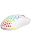 Fury Z Wireless Kablosuz Modüler Oyuncu Mouse - 7