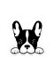 Vehicle Sticker French Bulldog 12X10 cm - 2