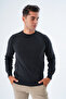 Men's Anthracite 100% Cotton Crew Neck Knitwear Sweater Trist-1101 - 5