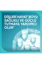 معجون أسنان مبيض من برومين أكتيف مينا شيلد - 4