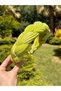 Bym497 Pilise Fabric Crown Pistachio Green Color Knitted Model Hair Accessory Daily Women's Hair Crown - 3