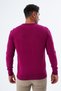 Men's Dried Rose 100% Cotton Crew Neck Knitwear Sweater Trist-1101 - 4