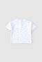 Organic Cotton Baby Shorts Set Picnic - 6