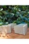Laurel Soap with Olive Oil 100% Natural, Handmade, Contains 58% Olive Oil, 33% Laurel Oil8 Pieces - 6