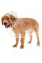 Otso Transparent Large Breed Raincoat