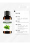 100% Pure and Natural Peppermint Oil, Essential Natural Oil 10 ml - 2