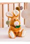 Lcw Home Embroidered Filled Baby Pillow 35 cm