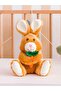 Lcw Home Embroidered Filled Baby Pillow 35 cm - 2