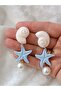 Seashell - Urchin - Starfish - Pearl Detail Polymer Clay Earring - Steel Pin Earring - 4